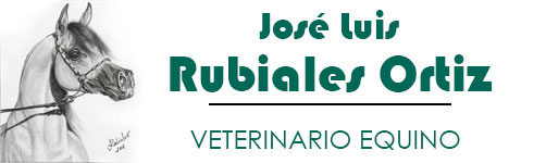 Veterinario de caballos en Huelva. Jose Luis Rubiales Ortiz