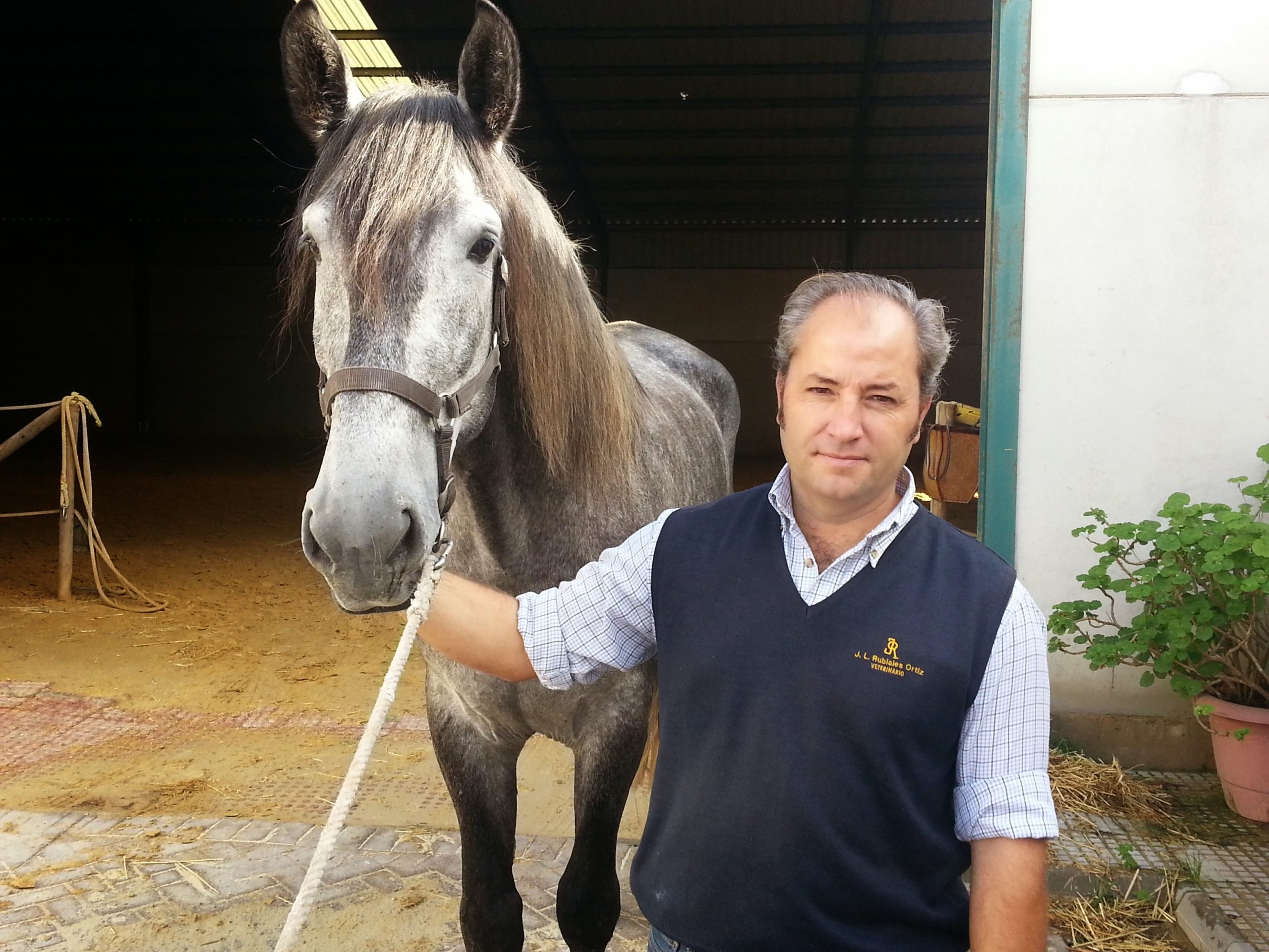 Urgencias, cólico equino, odontología, reproducción y seguimiento clínico... Servicio ambulatorio integral para cuidar de tu caballo