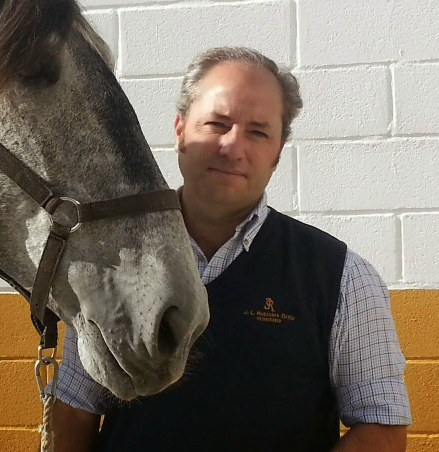 Veterinario de caballos en Huelva. Jose Luis Rubiales Ortiz