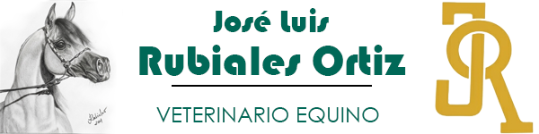 Veterinario de caballos en Huelva. Jose Luis Rubiales Ortiz. Veterinario equino en Huelva, Cádiz, Sevilla Badajoz, Algarve