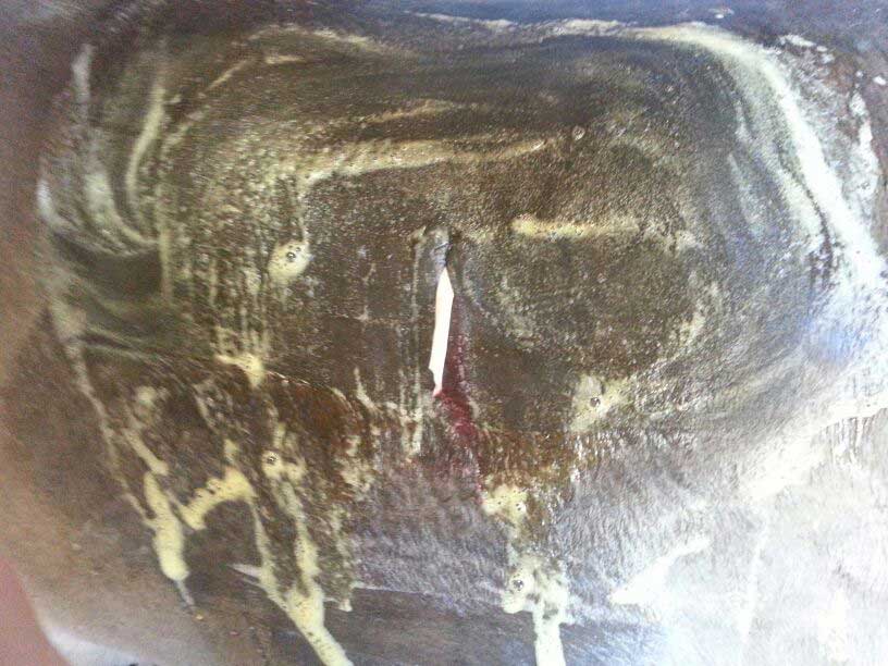 Cirugía de campo para caballos. JRO Veterinario Equino como clínica móvil para caballos en Huelva, Badajoz, Sevilla Cádiz y sur de Portugal.